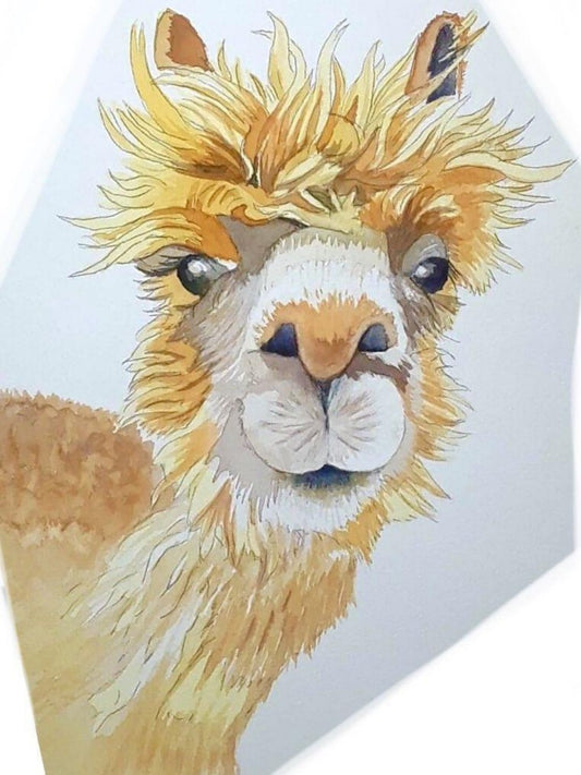 Alpaca | Diamond Painting