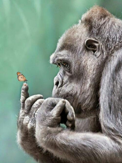Gorilla | Diamond Painting