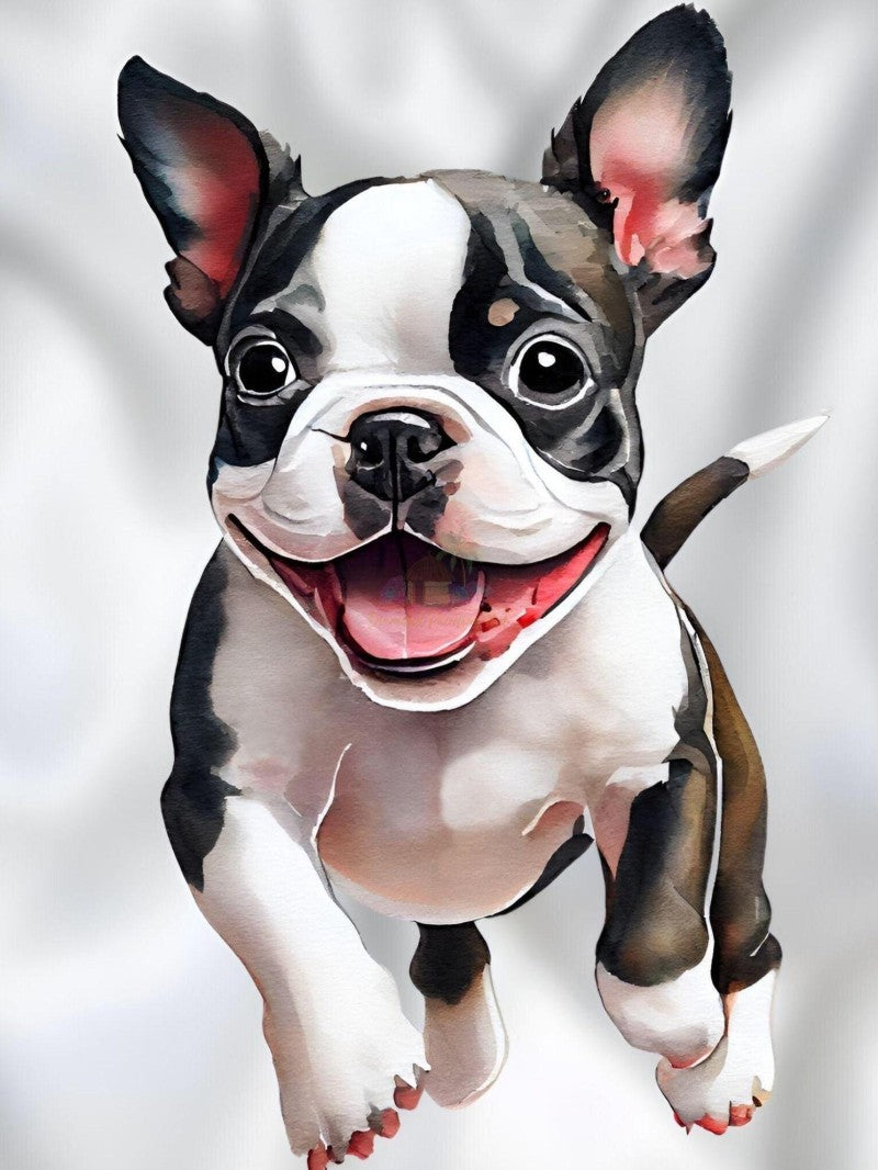 Boston Terrier Dog | Diamond Painting