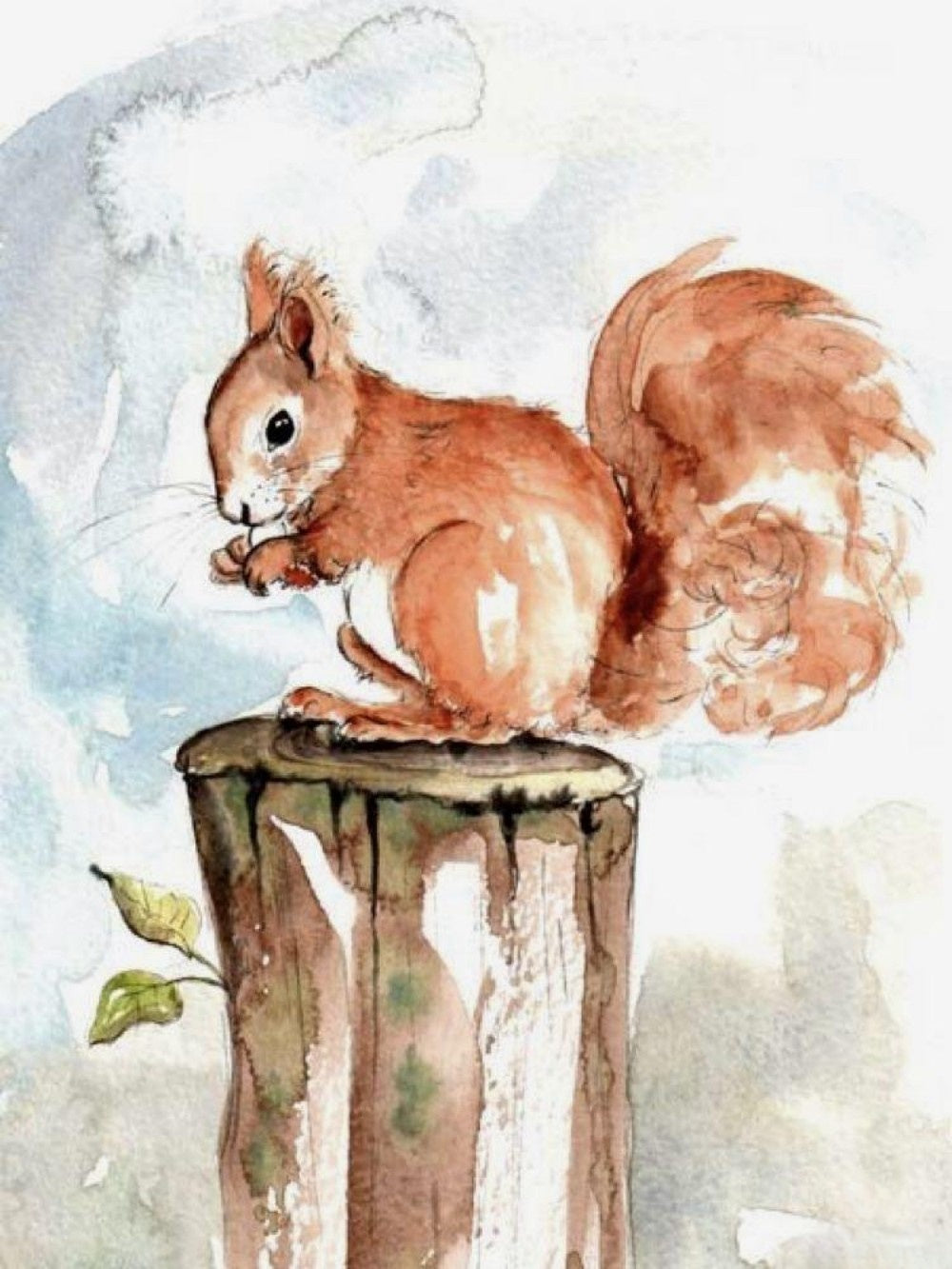 Squirrel | Diamond Painting