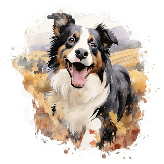 Dog Border Collie | Diamond Painting