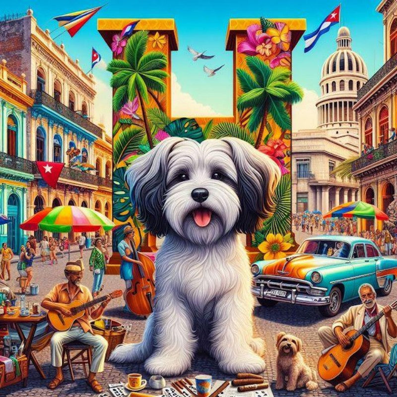Havanese Dog | Diamond Painting