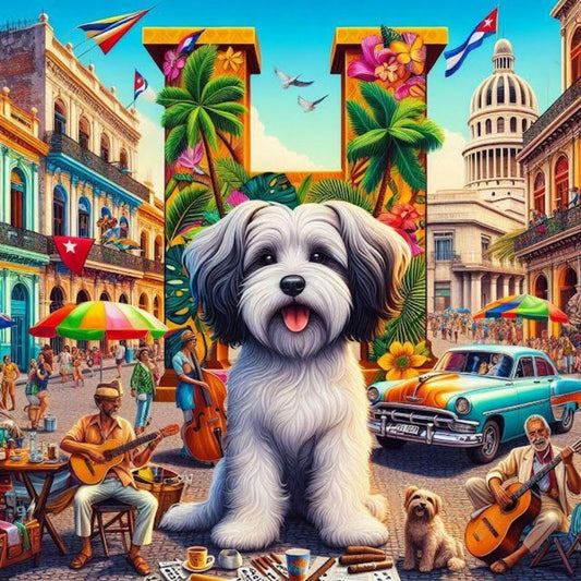 Havanese Dog | Diamond Painting