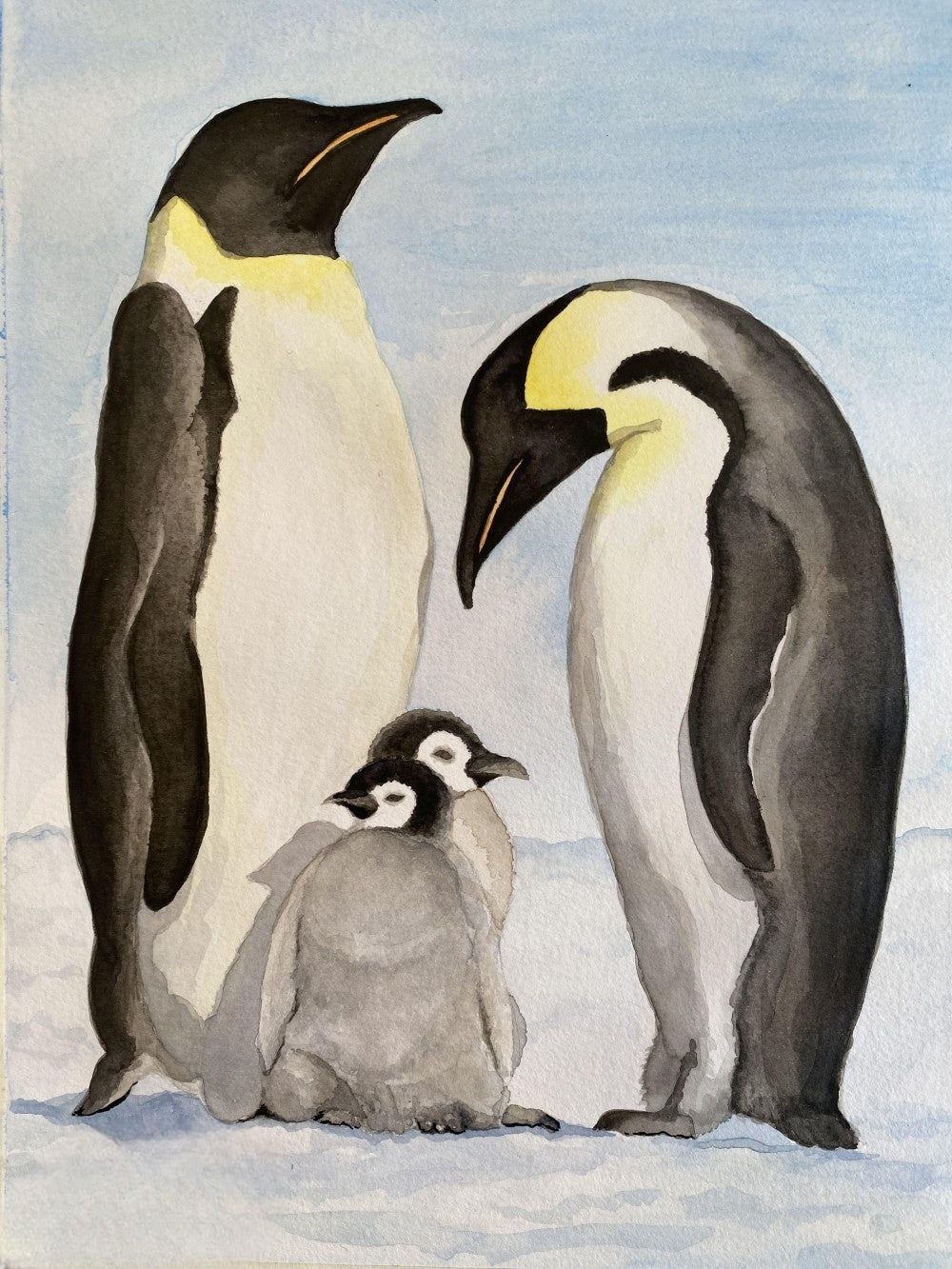 Penguin | Diamond Painting
