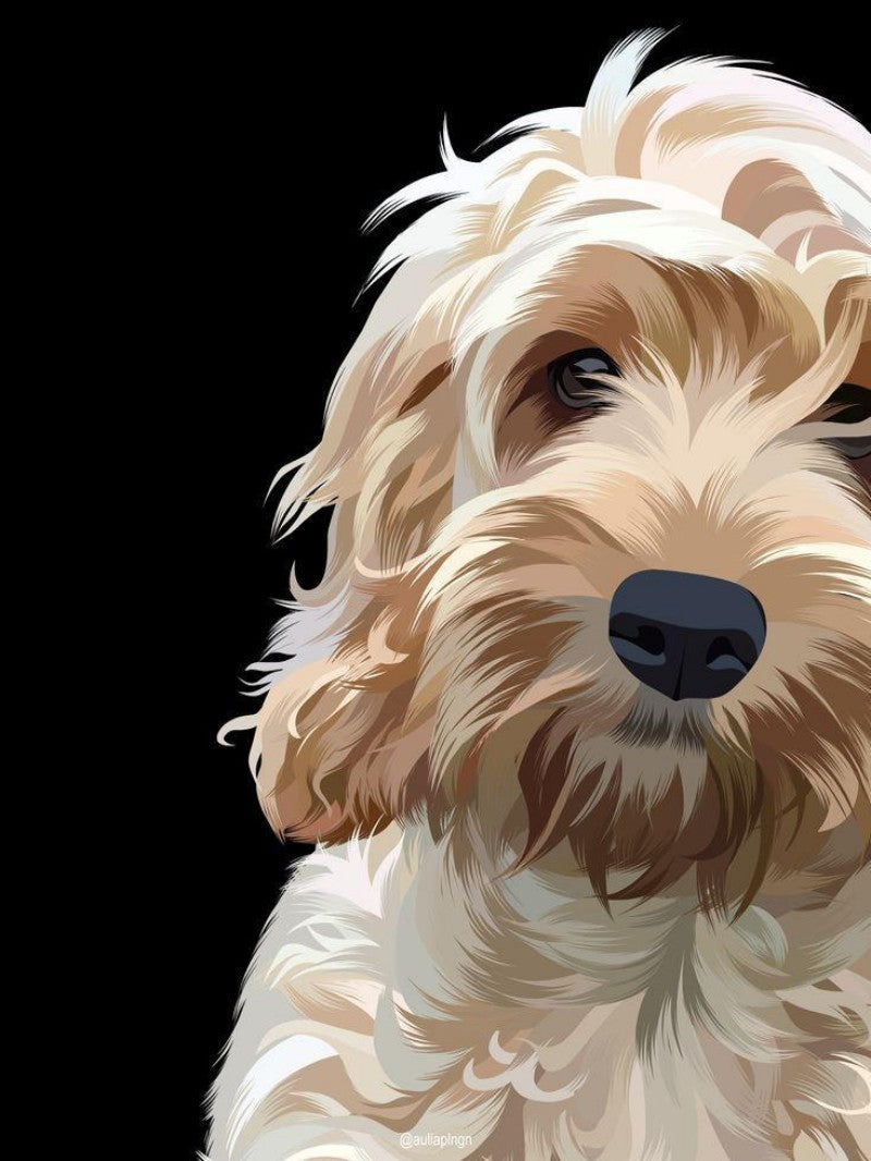 Labradoodle Dog | Diamond Painting