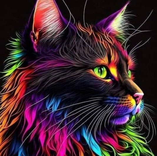 Colorful Cat | Diamond Painting