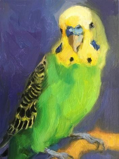 Budgie | Diamond Painting
