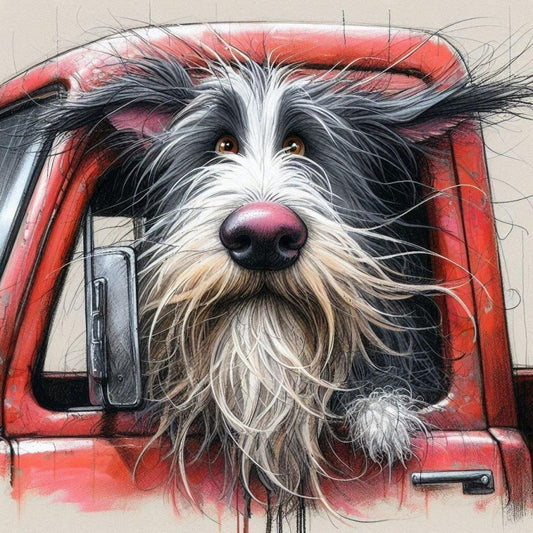 Dog Schnauzer | Diamond Painting