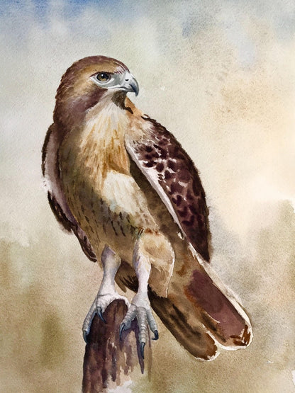 Falcon | Diamond Painting