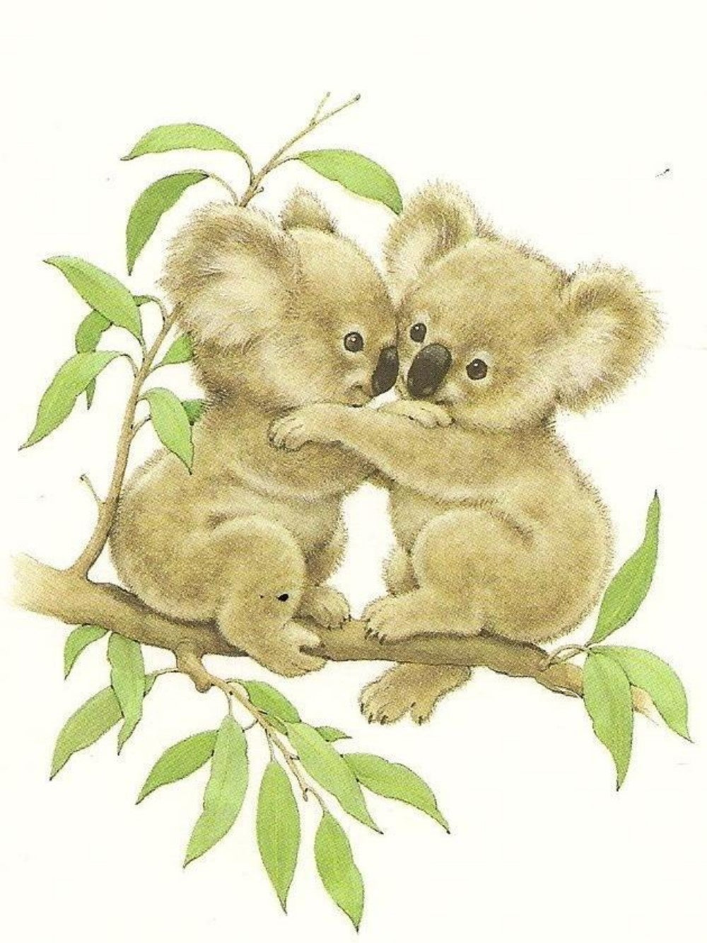 Koala | Diamond Painting