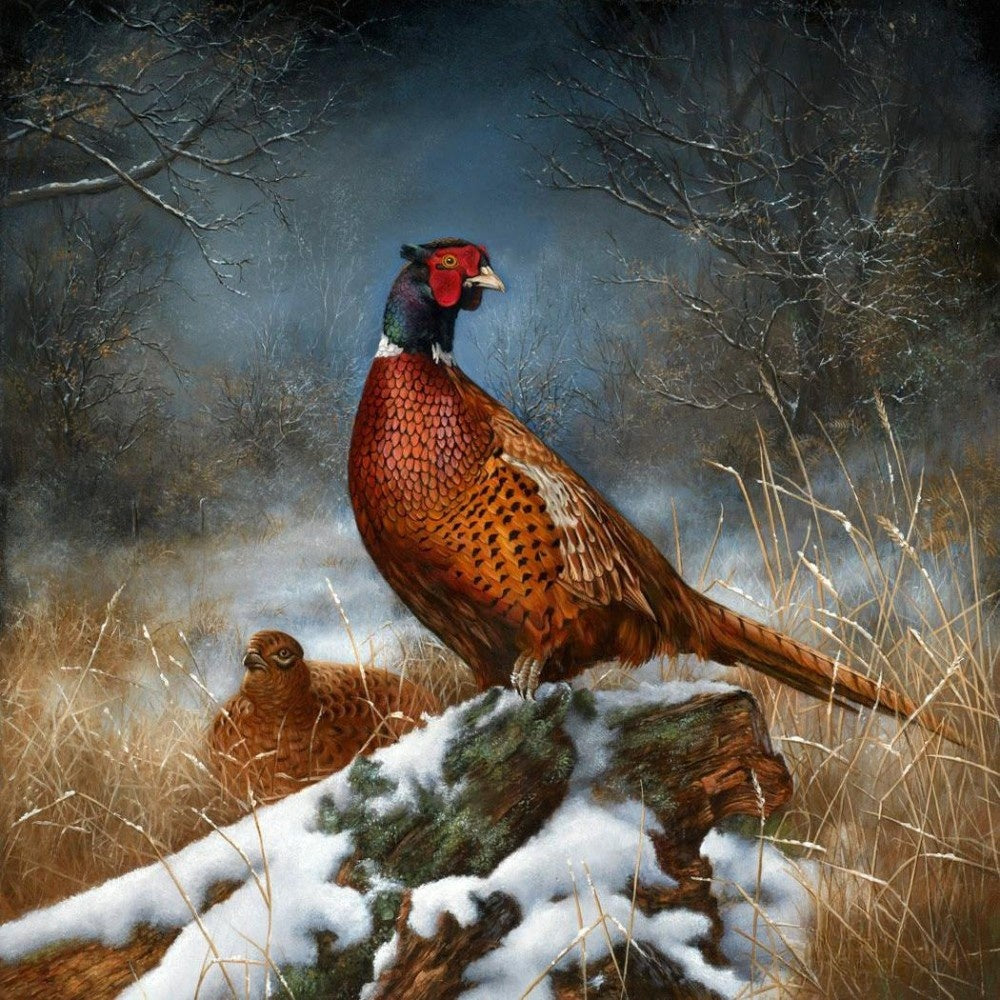 Pheasant | Diamond Painting