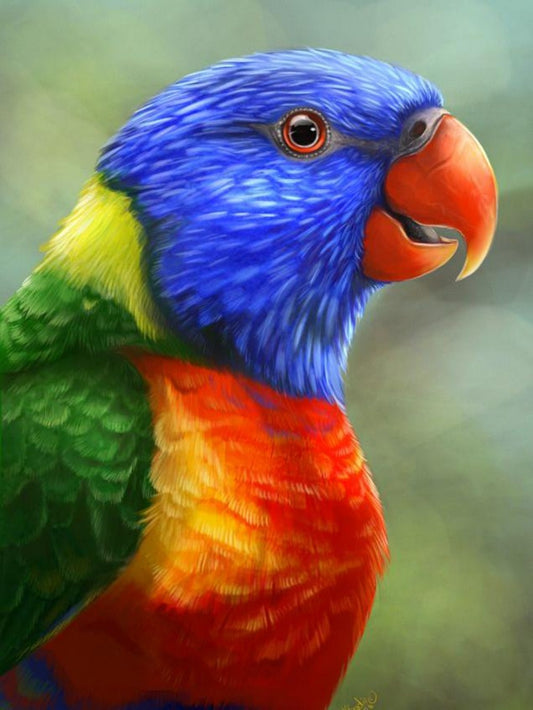 Rainbow Parrots | Diamond Painting