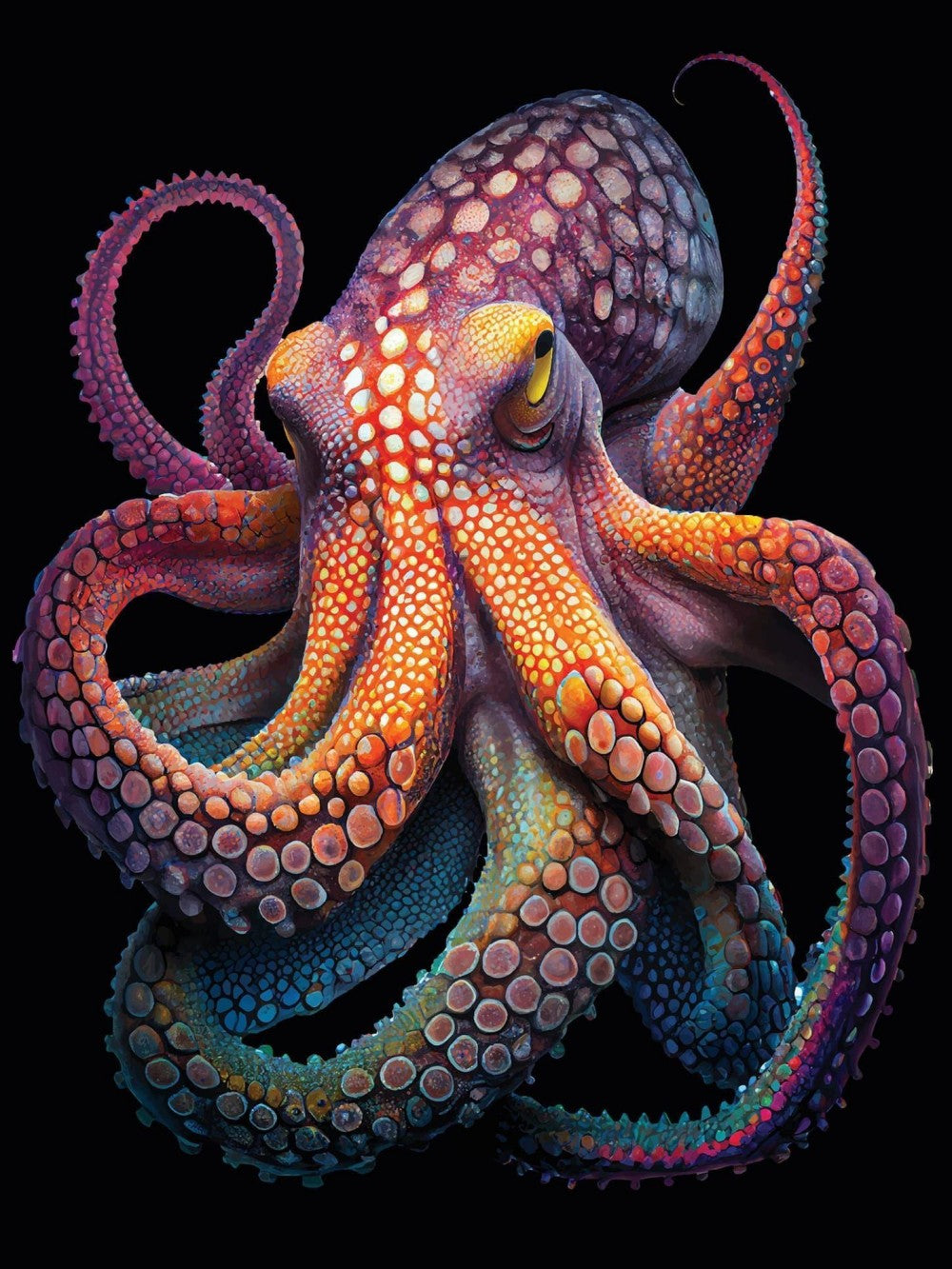 Octopus | Diamond Painting