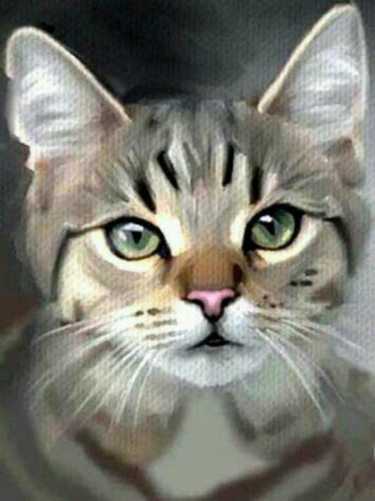 Tabby Cat | Diamond Painting