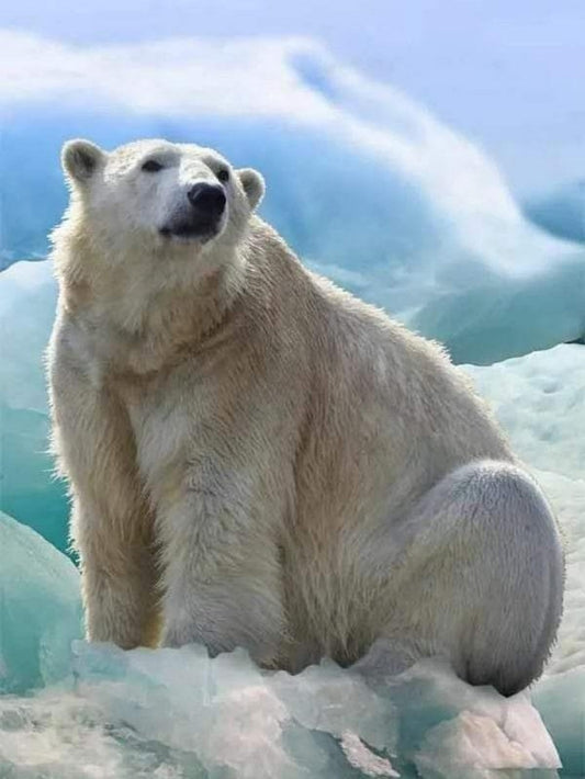 Polar Bear | Diamond Painting