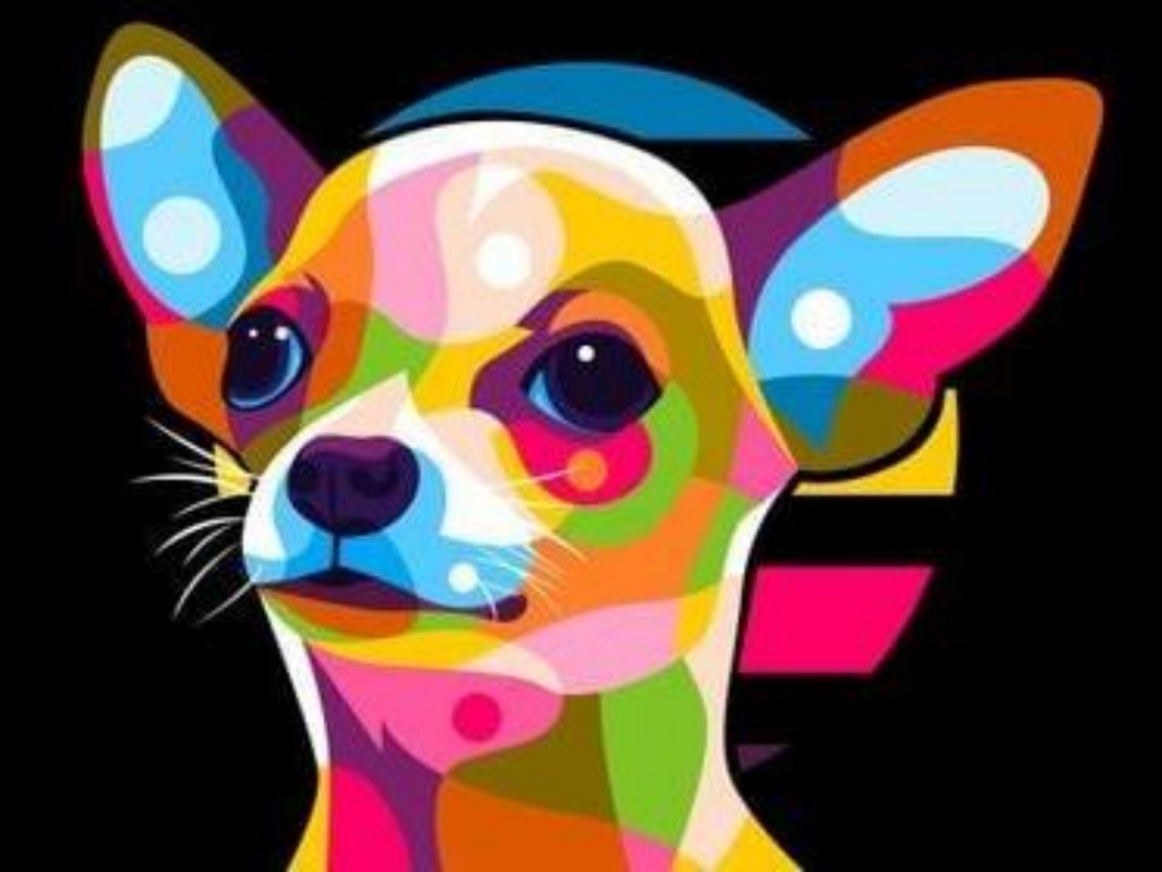 Dog Chihuahua | Diamond Painting