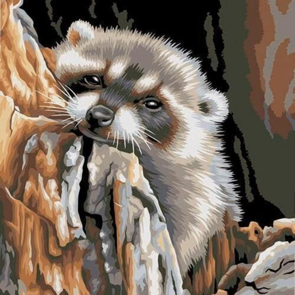 Raccoon | Diamond Painting