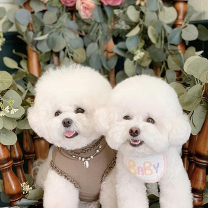 Dog Bichon Frise | Diamond Painting