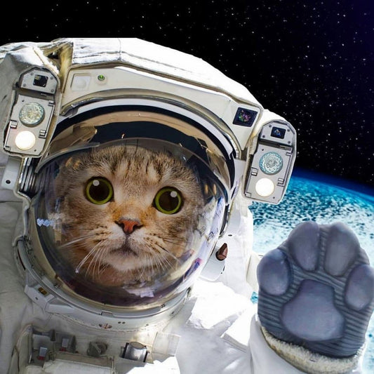 Cats in Space | Diamond Painting