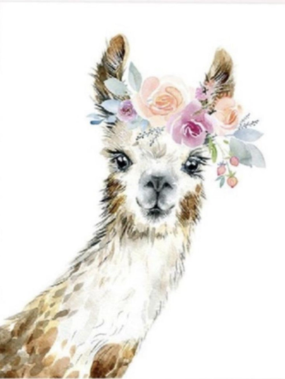 Llama | Diamond Painting