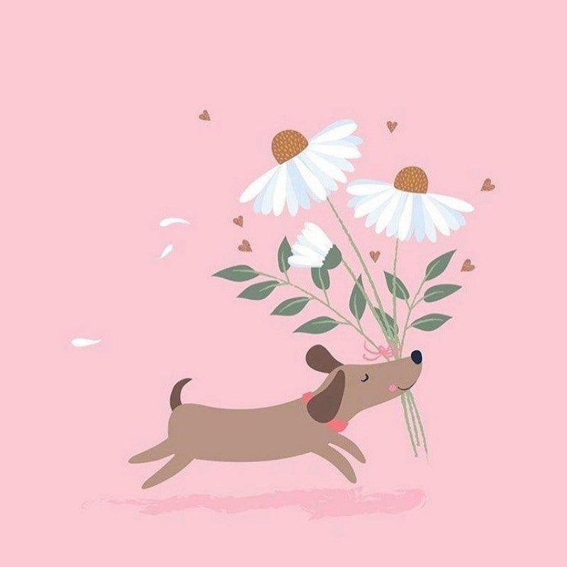 Dachshund Dog | Diamond Painting