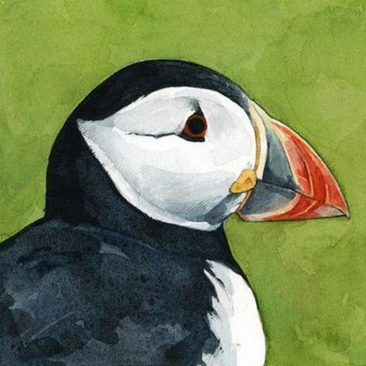 Puffin | Diamond Painting