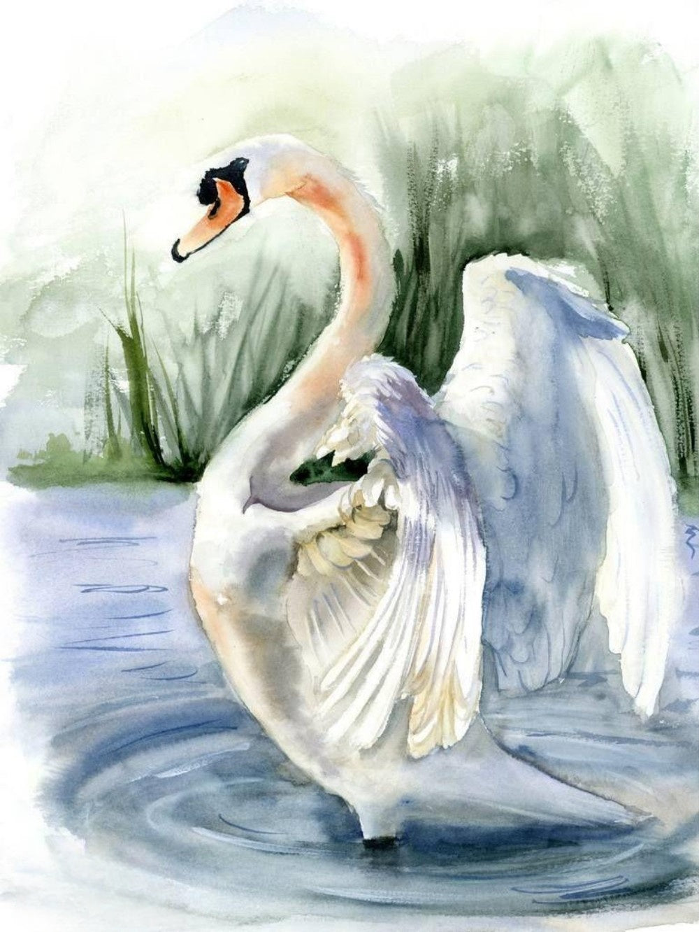 Swan | Diamond Painting