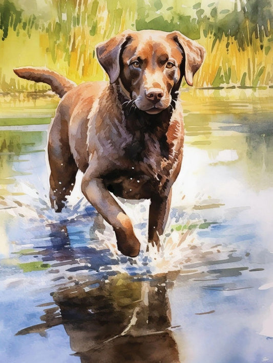 Chocolate Labrador Dog | Diamond Painting