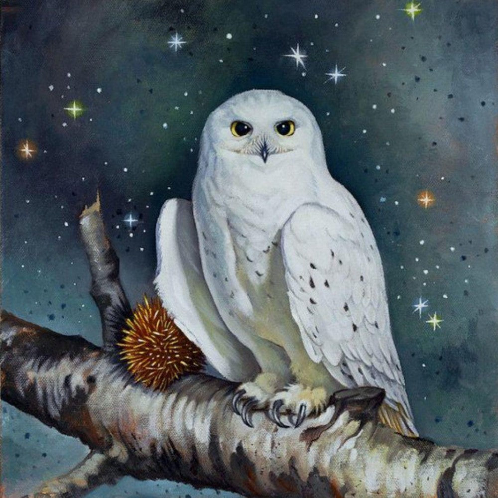 Snowy owl (White Owl) | Diamond Painting