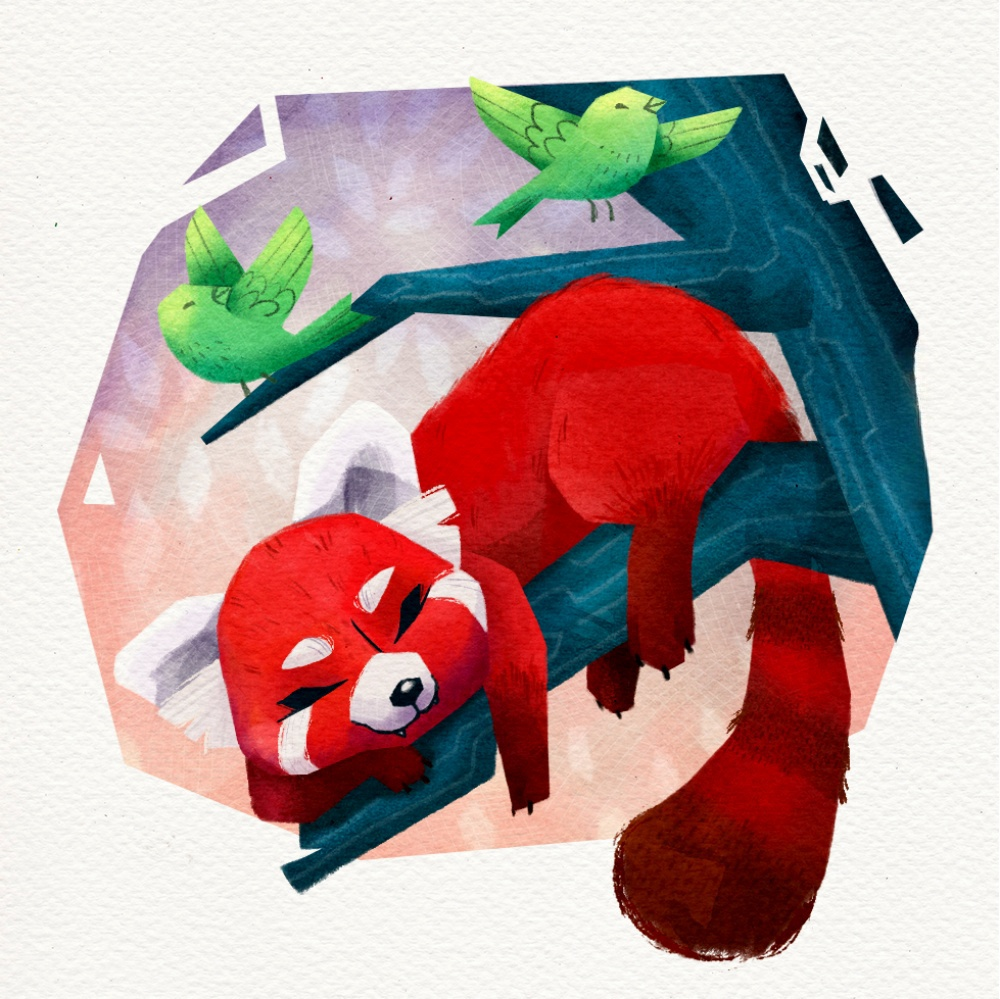 Red Panda | Diamond Painting