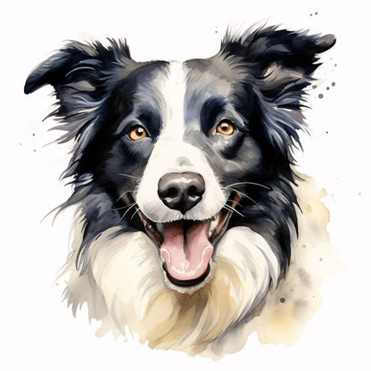 Dog Border Collie | Diamond Painting