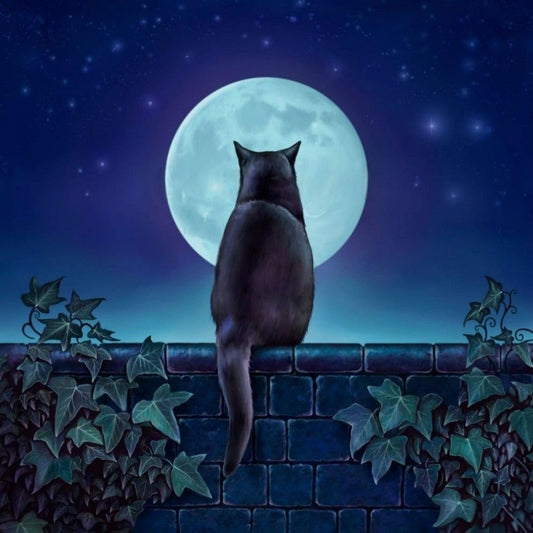 Midnight Cat | Diamond Painting