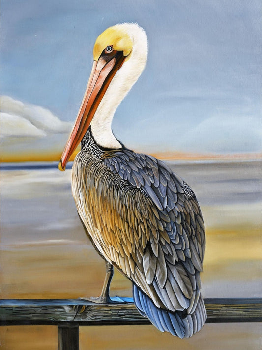 Pelican | Diamond Painting