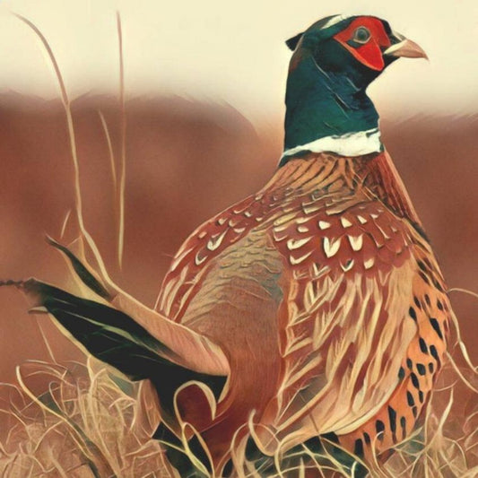 Pheasant | Diamond Painting