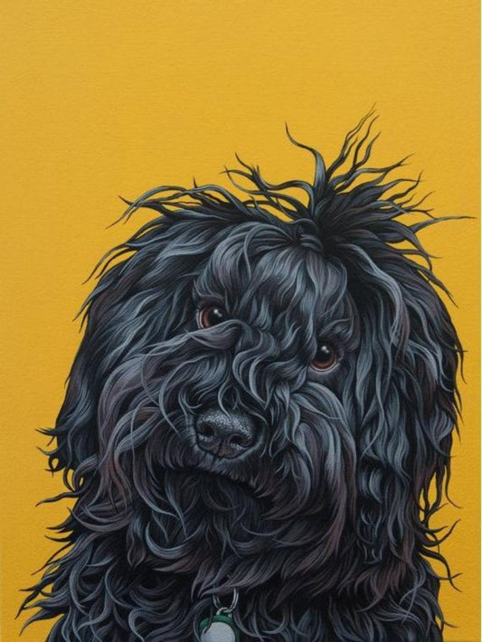 Poodle Dog | Diamond Painting