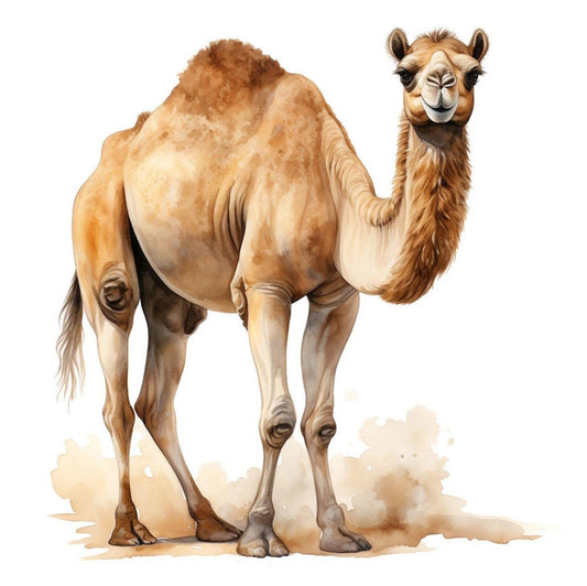 Camel | Diamond Painting