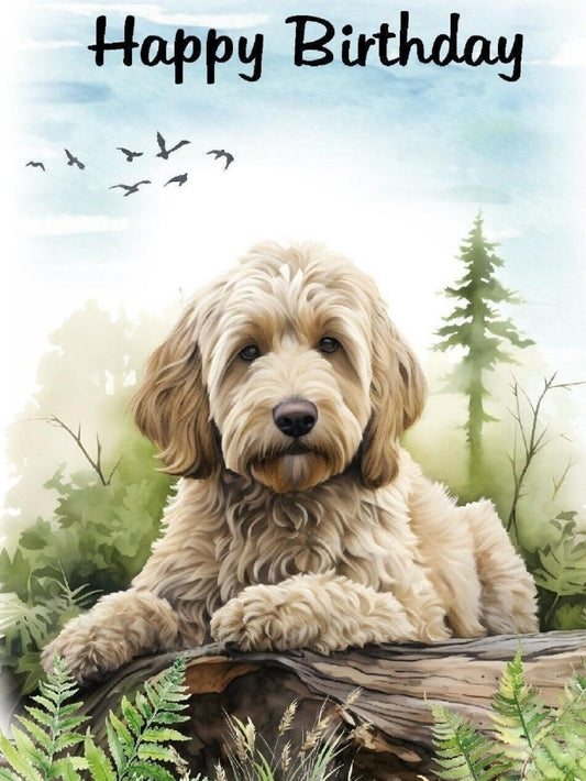 Labradoodle Dog | Diamond Painting