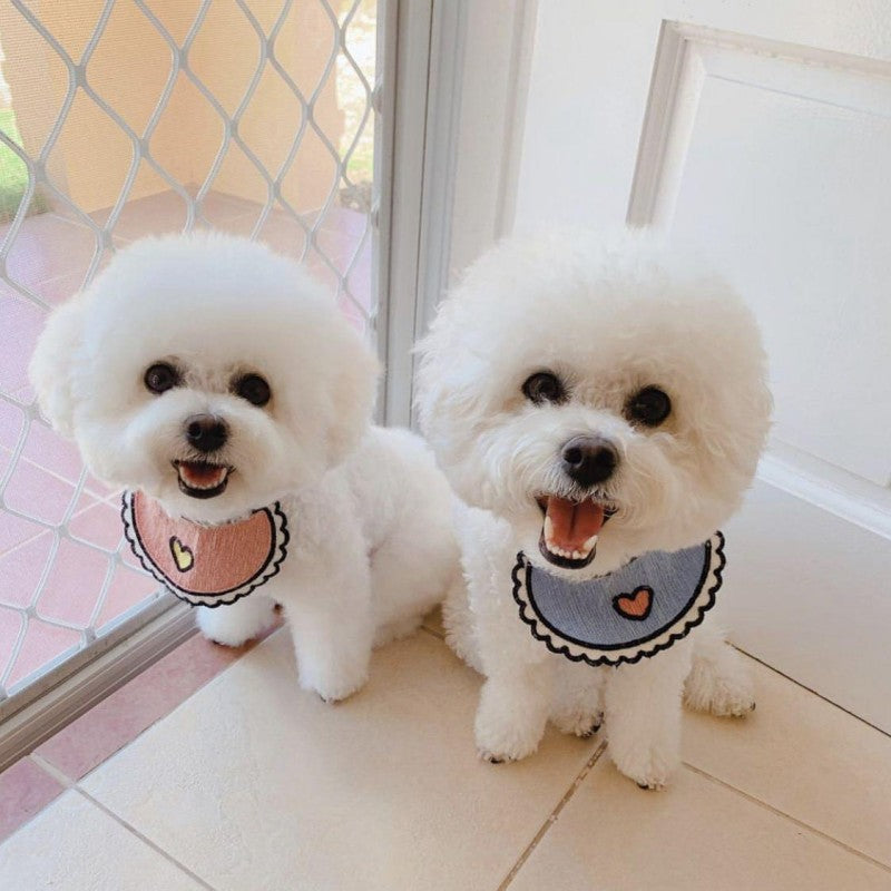 Dog Bichon Frise | Diamond Painting