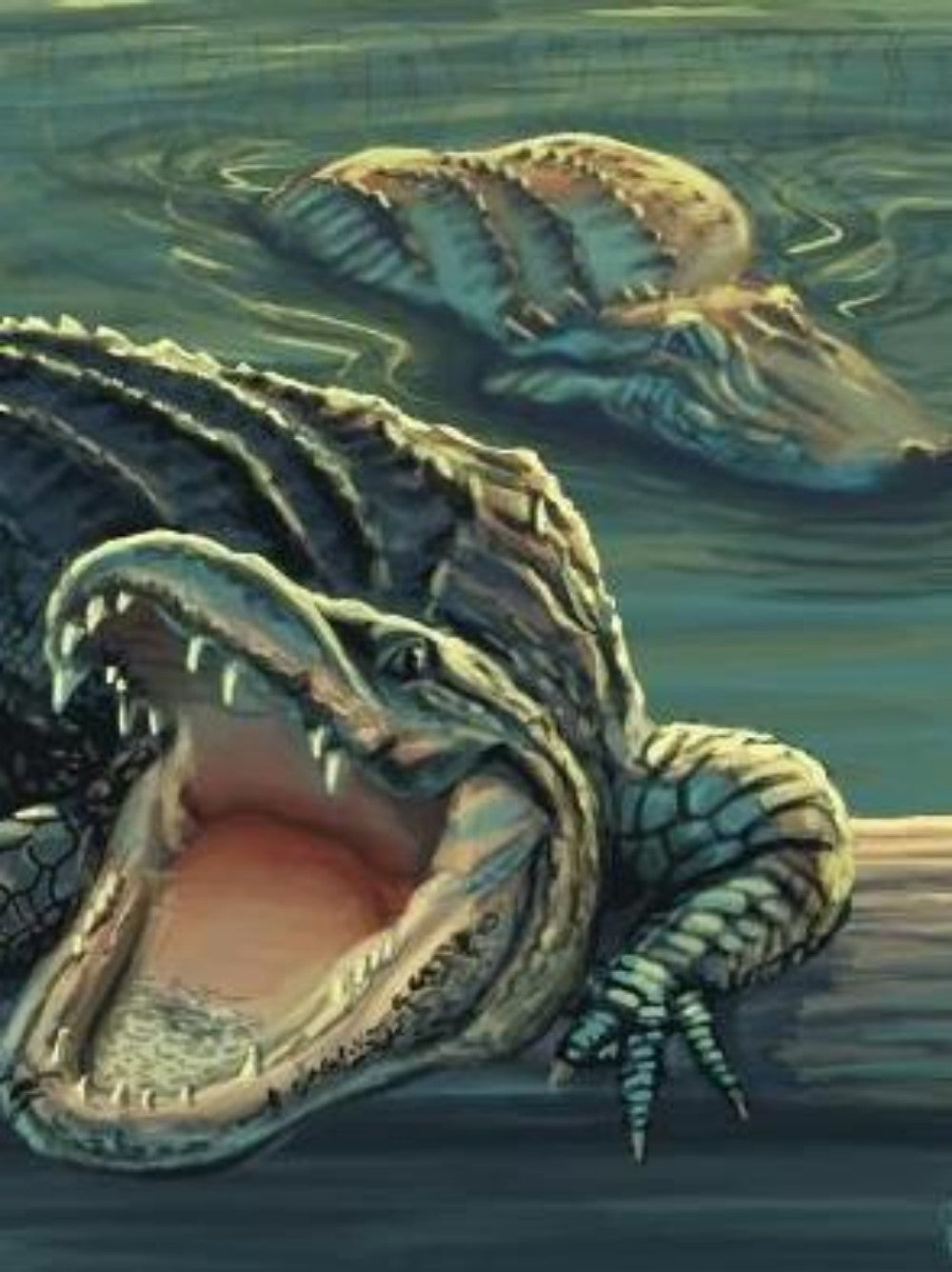 Alligator | Diamond Painting