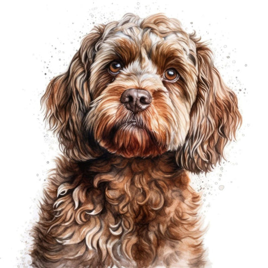 Cavapoo Dog | Diamond Painting