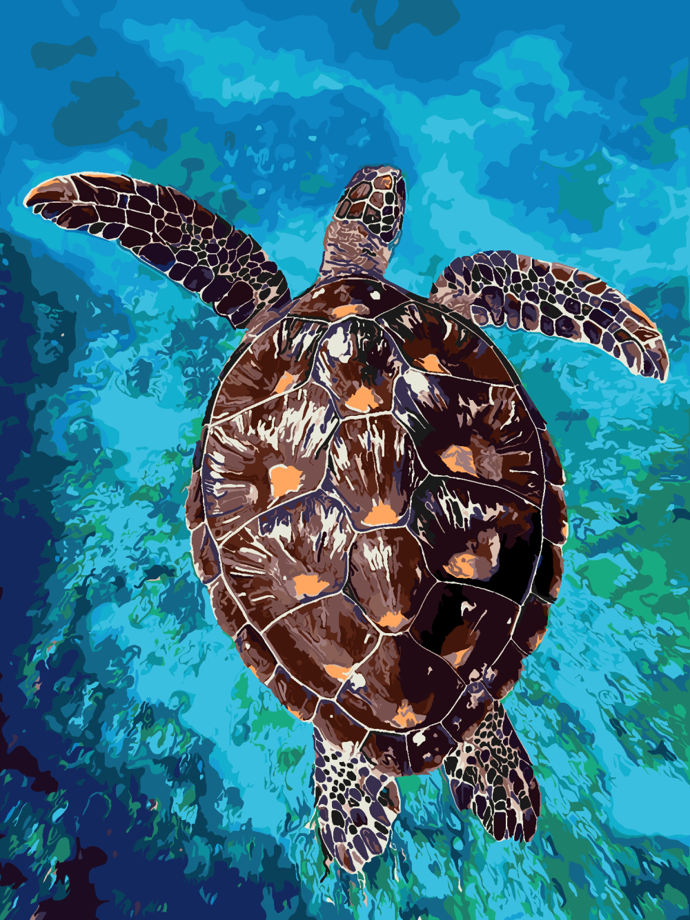 Turtle | Diamond Painting