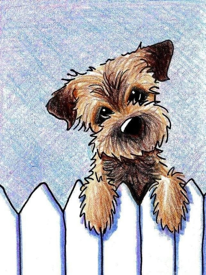 Dog Schnauzer | Diamond Painting