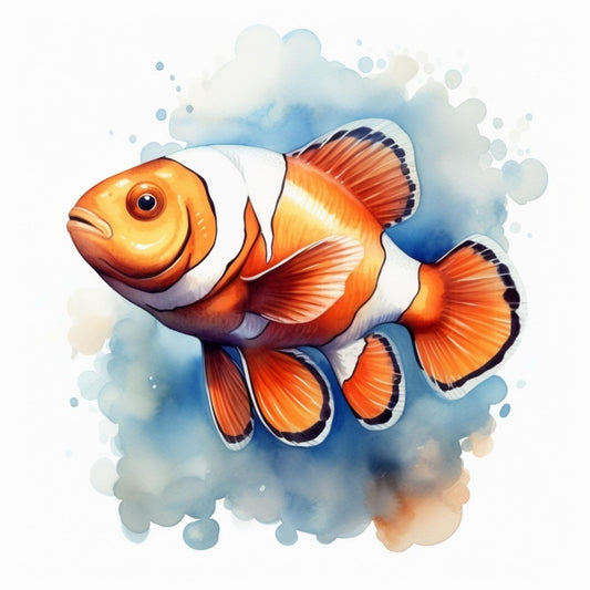Clown Fish | Diamond Painting