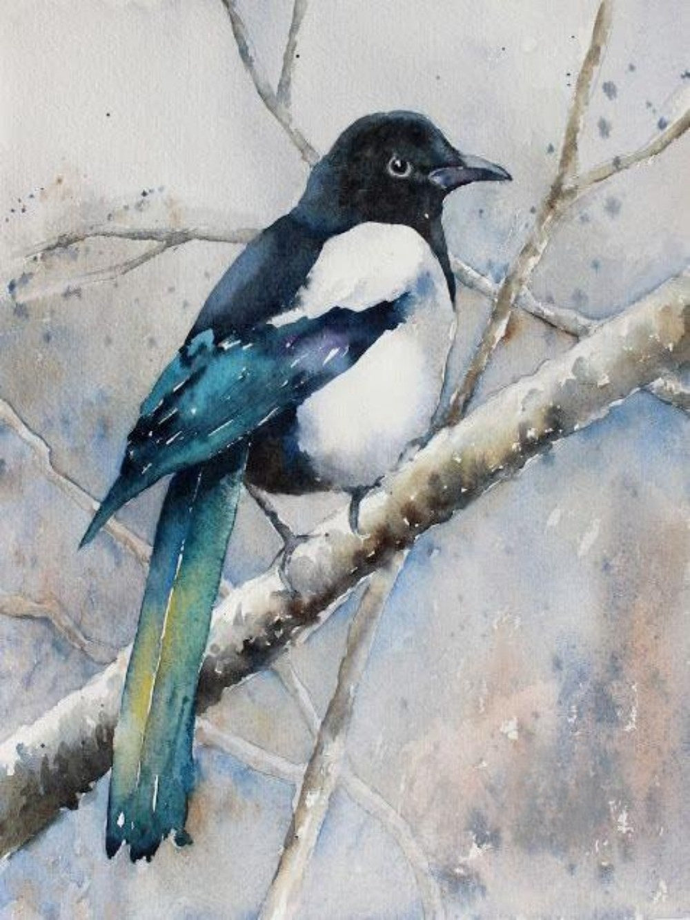 Magpie | Diamond Painting