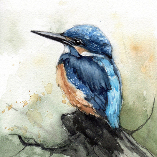 Kingfisher | Diamond Painting