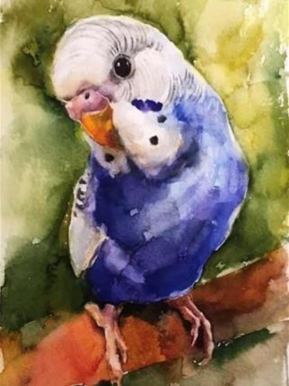 Budgie | Diamond Painting