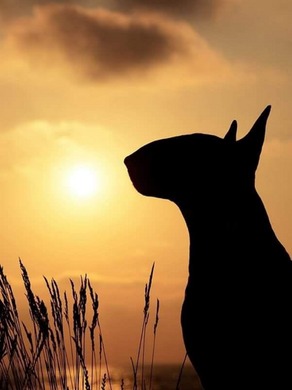 English Bull Terrier Dog | Diamond Painting