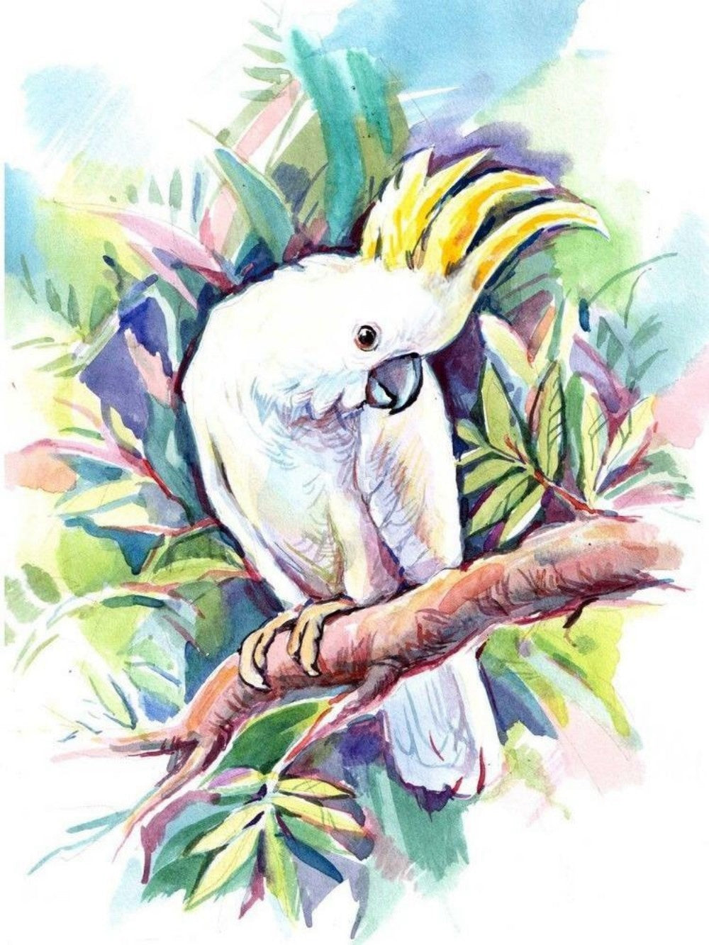 Cockatoo | Diamond Painting