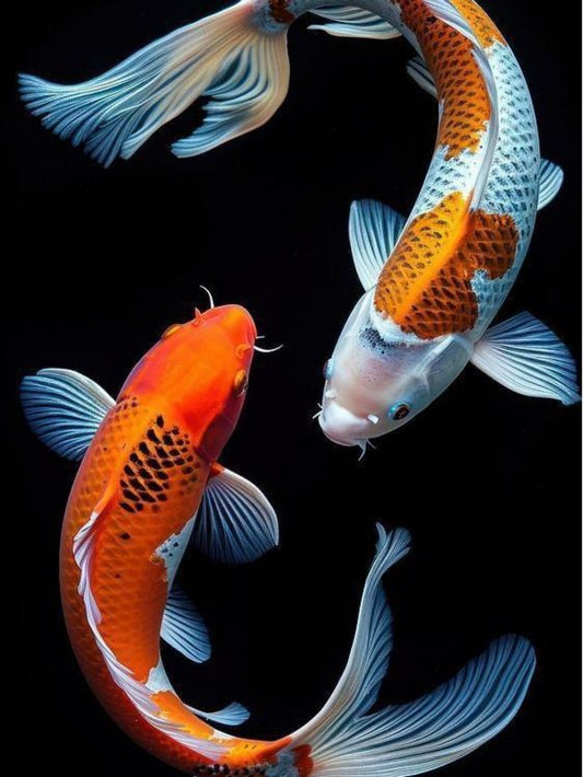 Koi Fish | Diamond Painting