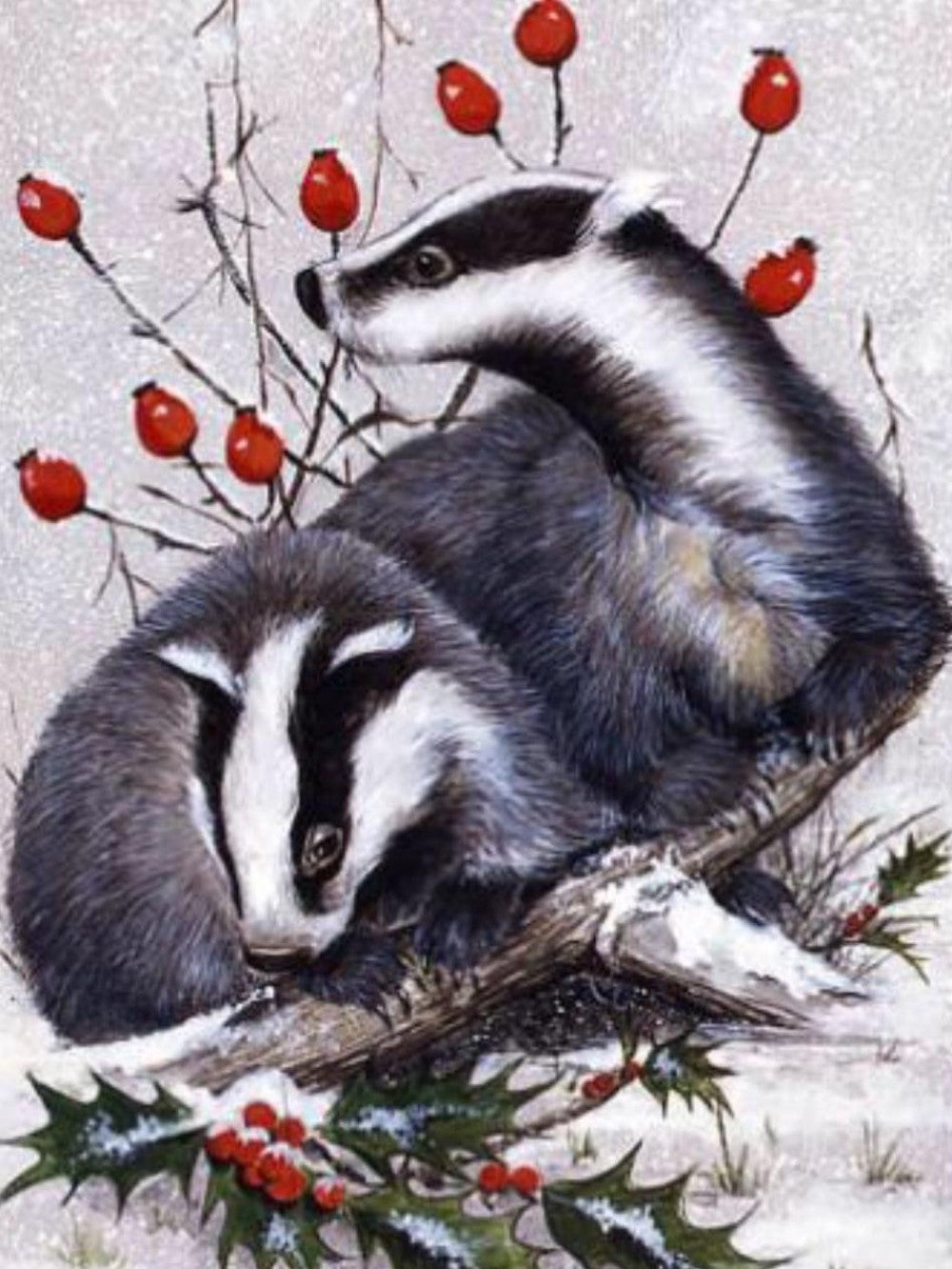 Badger | Diamond Painting
